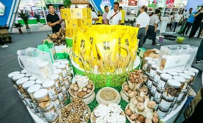 對接長三角市場！阜陽組團(tuán)參加上海農(nóng)交會，食用油產(chǎn)品受關(guān)注